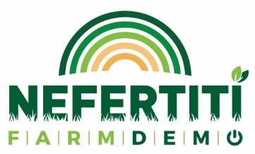 NEFERTITI logo
